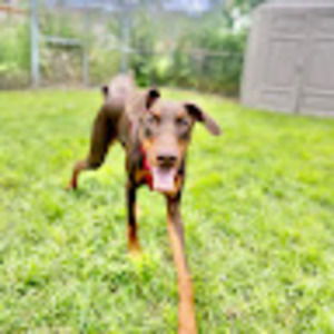 Meet your Posher, Kelsey